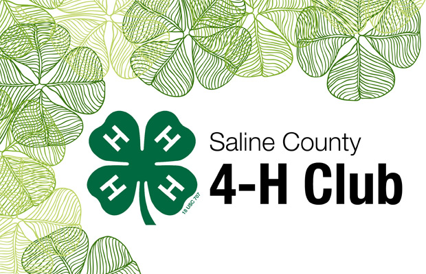 Saline County 4H Club