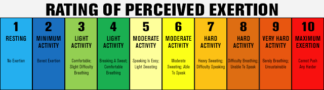 Rating of Perceived Exertion